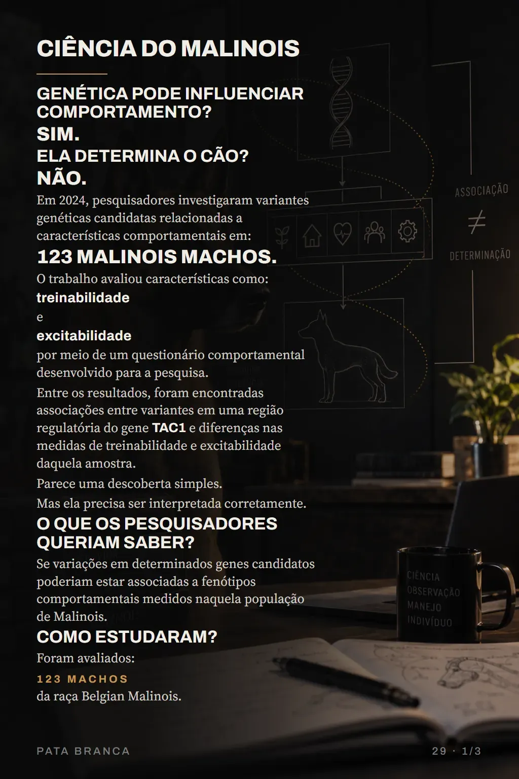 Página do guia: Cap. 04 — Ciência do Malinois: genética influencia, não determina.