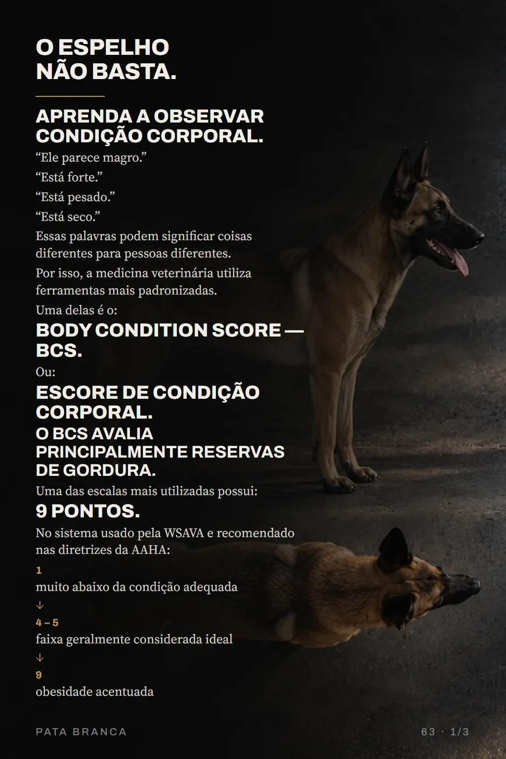 Página do guia: Cap. 09 — O espelho não basta: condição corporal.